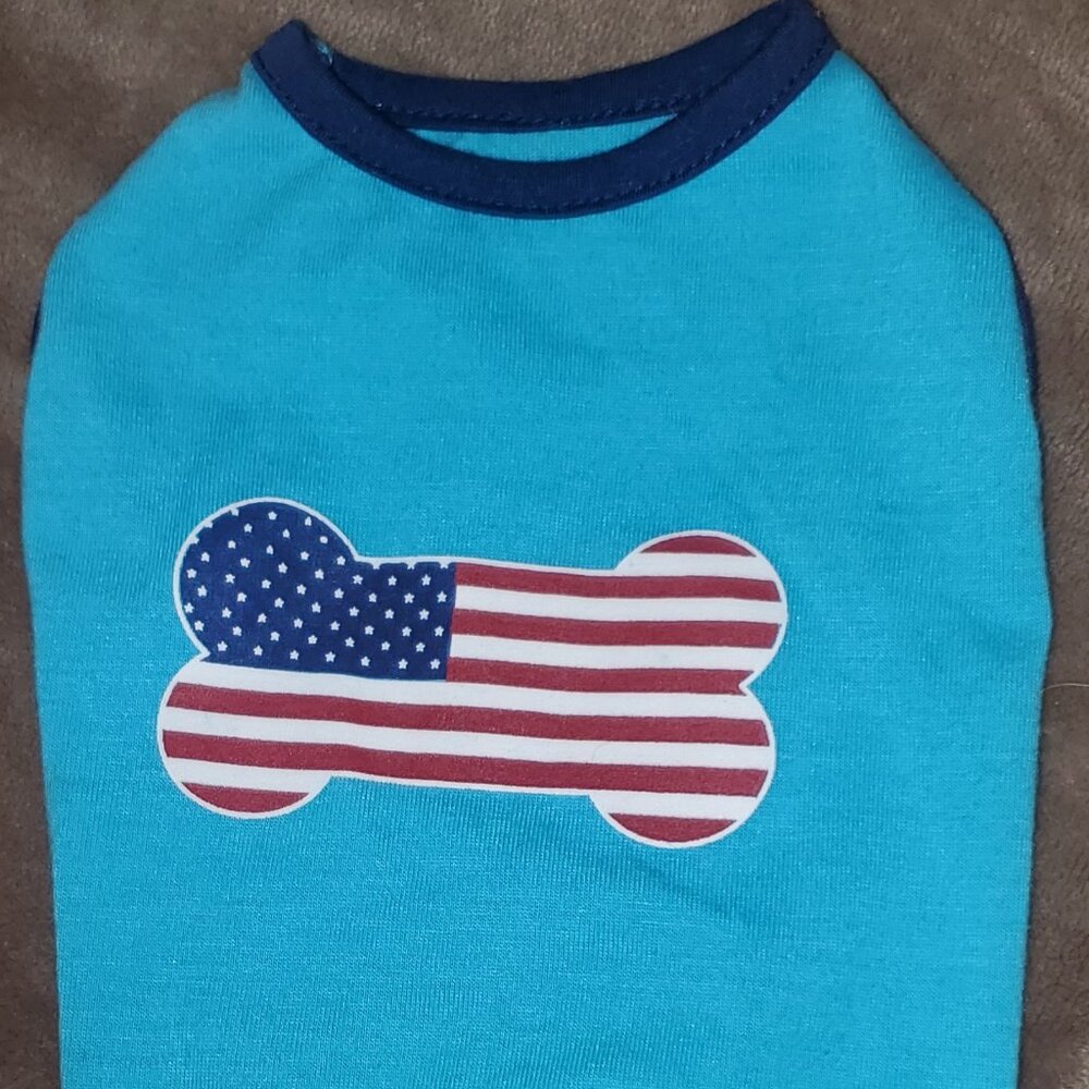 All American Flag Bone (Puppy T-Shirt, Color: Aqua, Size: XS